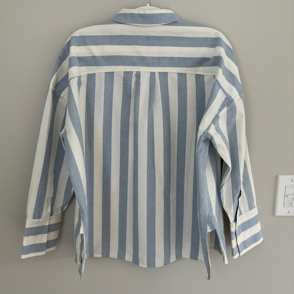 NWT Everlane Organic Cotton The Boxy Oxford Button Down Striped Oversized Shirt - Picture 11 of 16